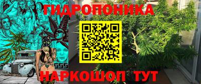гидра Нарткала