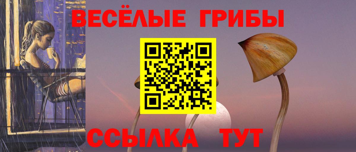 Галлюциногенные грибы прущие грибы Тара