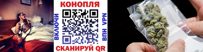 сколько стоит  Тара  Канабис планчик 